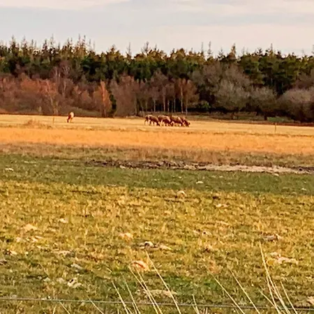 4 Person In Oksbøl